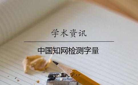 中国知网检测字量